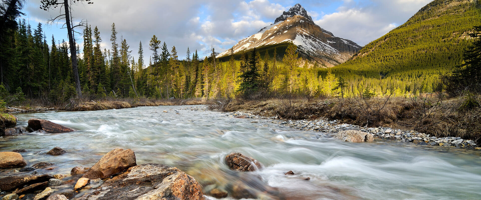 Elkwater Water Co-operative Ltd.